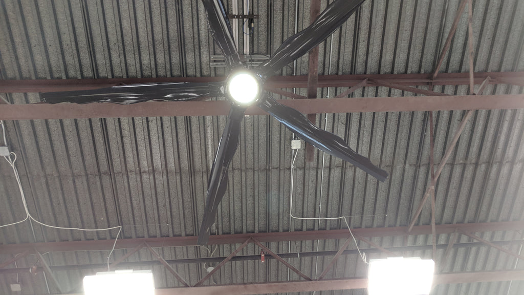 10ft Ceiling Fan (by Jazz Fans)